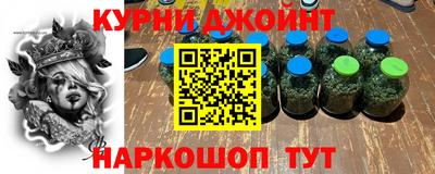 крисы Краснознаменск