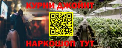 крисы Краснознаменск