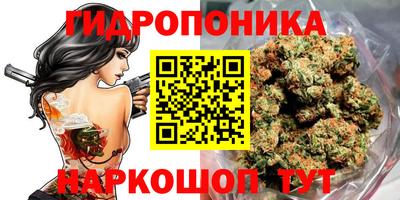 крисы Краснознаменск