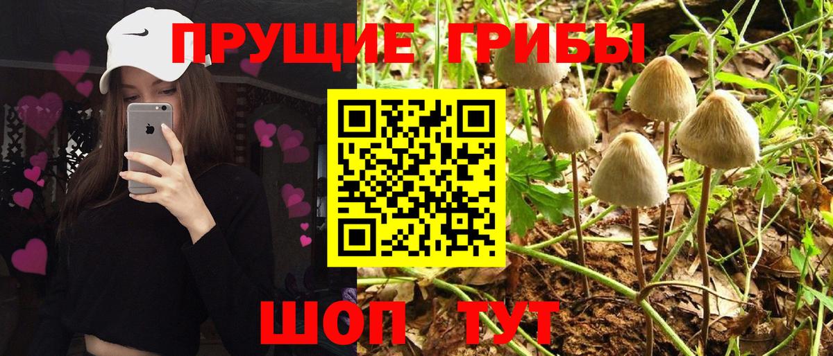 Псилоцибиновые грибы прущие грибы Елизово